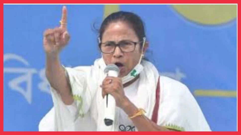 बीजेपी ने पैसों से खरीदे बागी विधायक, लेकिन...', महाराष्ट्र संकट के बीच ममता बनर्जी की बड़ी चेतावनी