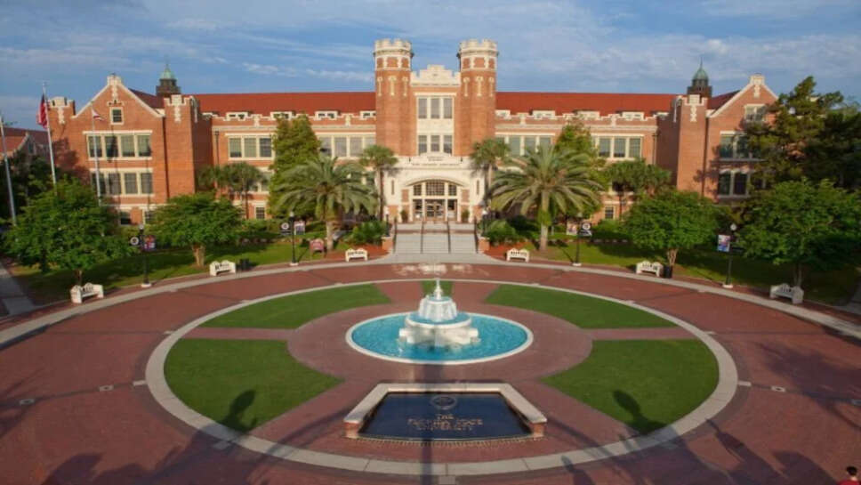 Top 5 University of New Florida